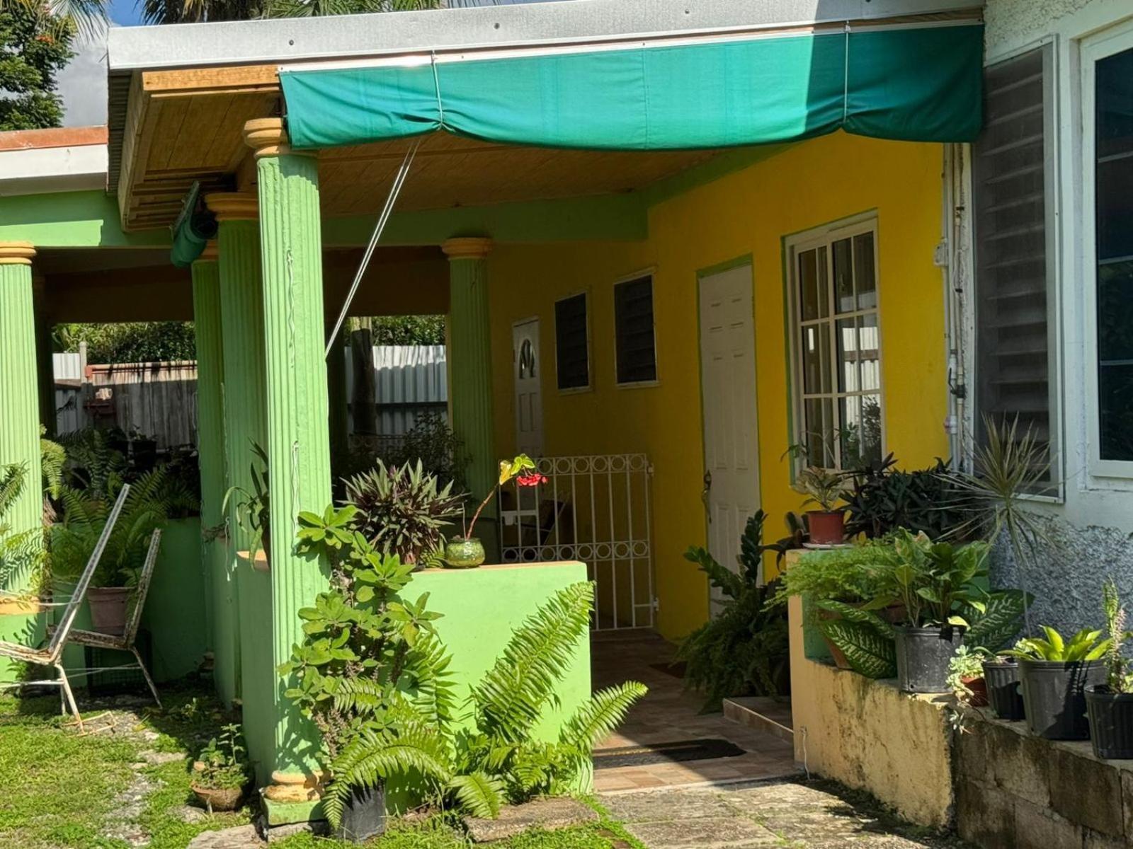 Shalom Suite 2, Manor Park Kingston Buitenkant foto
